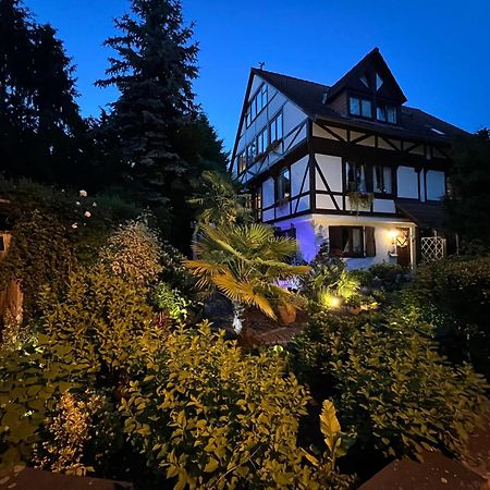 Einliegerwohnung In Einer Muehle Vor Den Toren Frankfurts, Ideal Fuer Messegaeste Oder Stop Over Драйайх Экстерьер фото